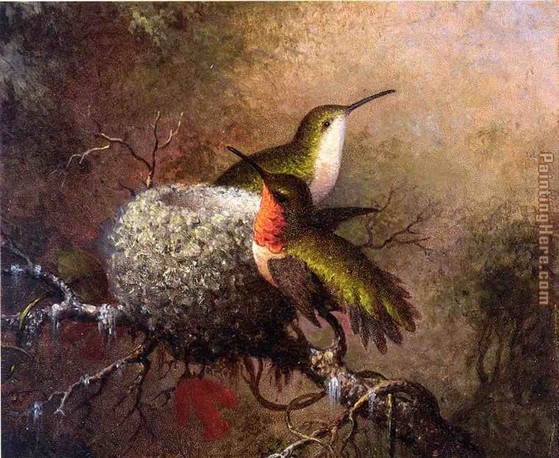 Two Ruby Throats by their Nest
